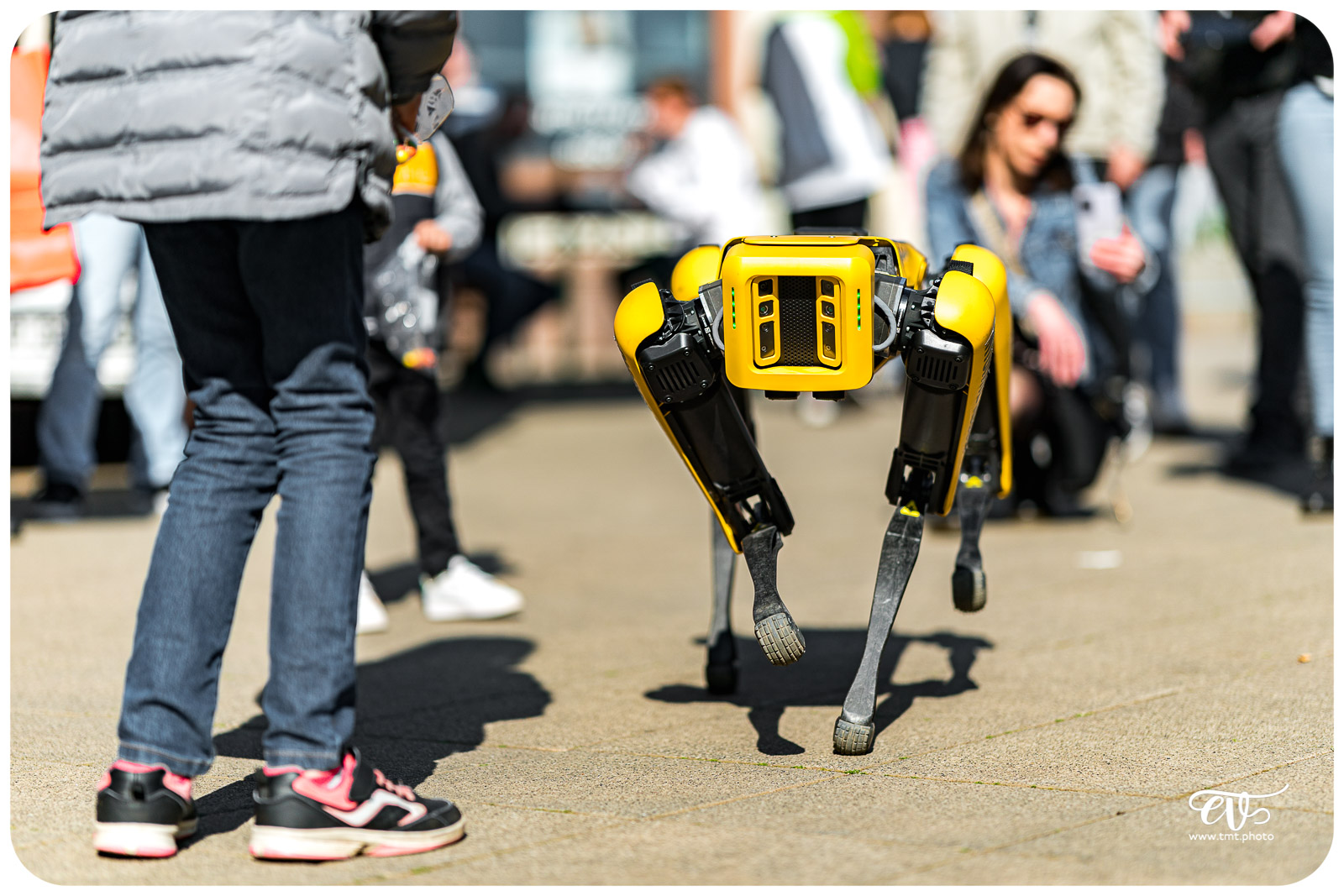 SPOT (BOSTON DYNAMICS)